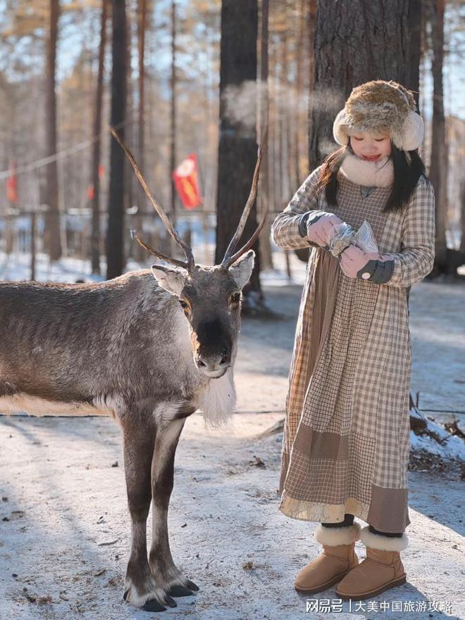 5日游价格亲身经历+费用全解析pg模拟器电脑版去哈尔滨旅游